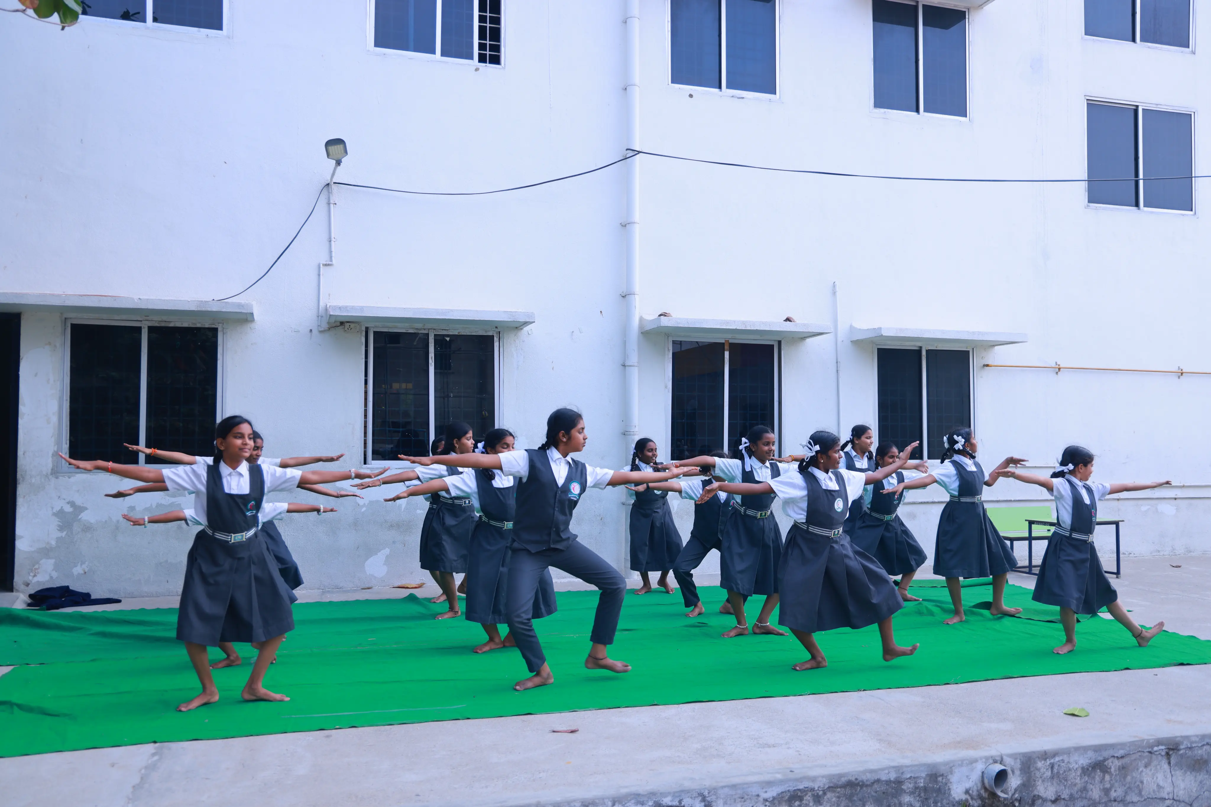 Activity and Cultural Facilities